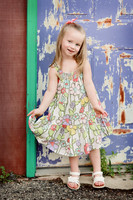 Schroer Collection