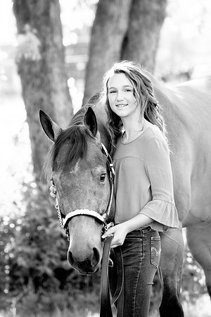Kelly Lynn Photography Horse-00041.jpg