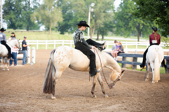 Kelly Lynn Photography Horse-00013.jpg