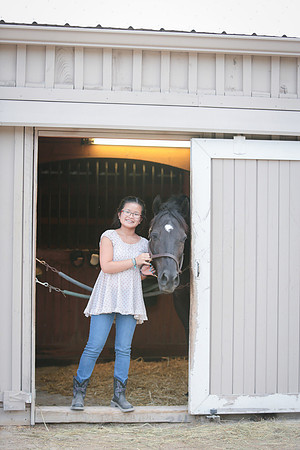 Kelly Lynn Photography Horse-00077.jpg
