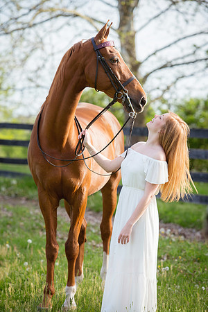 Kelly Lynn Photography Horse-00070.jpg