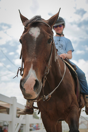 Kelly Lynn Photography Horse-00056.jpg