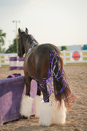 Kelly Lynn Photography Horse-00059.jpg