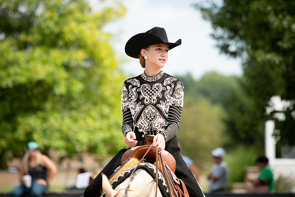 Kelly Lynn Photography Horse-00012.jpg