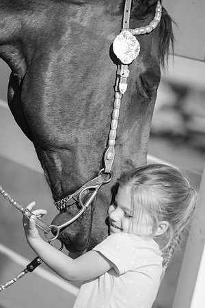 Kelly Lynn Photography Horse-00066.jpg