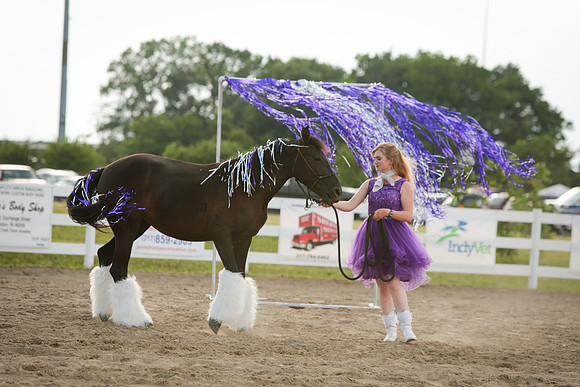 Kelly Lynn Photography Horse-00060.jpg