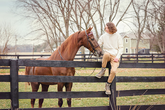 Kelly Lynn Photography Horse-00001.jpg