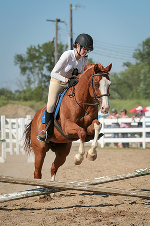 Kelly Lynn Photography Horse-00062.jpg