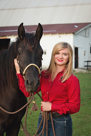 Kelly Lynn Photography Horse-00049.jpg