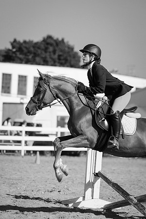 Kelly Lynn Photography Horse-00063.jpg