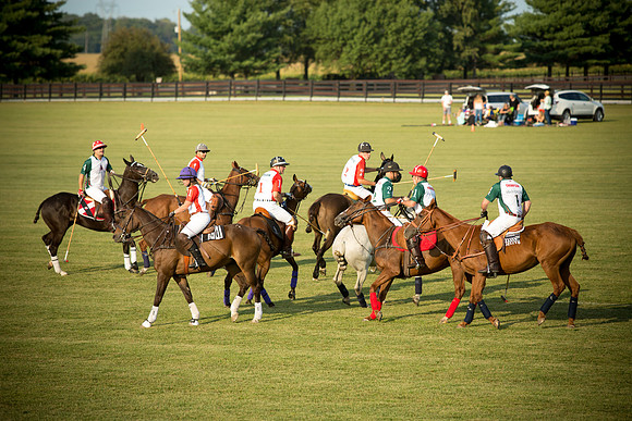 Kelly Lynn Photography Horse-00088.jpg