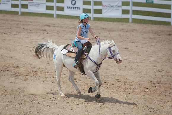 Kelly Lynn Photography Horse-00055.jpg